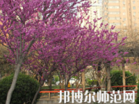 鄭州2020年初中生可以讀哪些幼師學校