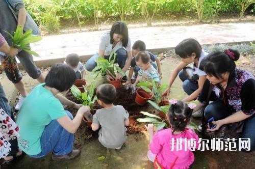貴陽2020年幼師學校屬于什么學歷