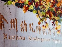徐州幼兒師范高等?？茖W(xué)校有哪些專業(yè)