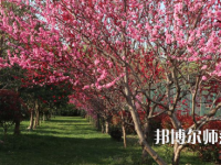 河南科技職業(yè)師范大學2023年怎么樣、好不好