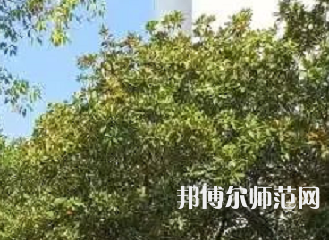 湖南理工師范學(xué)院南湖學(xué)院2023年怎么樣、好不好