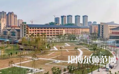 2023年內江師范學院會計與統(tǒng)計核算專業(yè)介紹